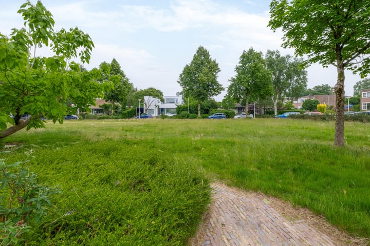 Foto 41 van Boeslaan 55