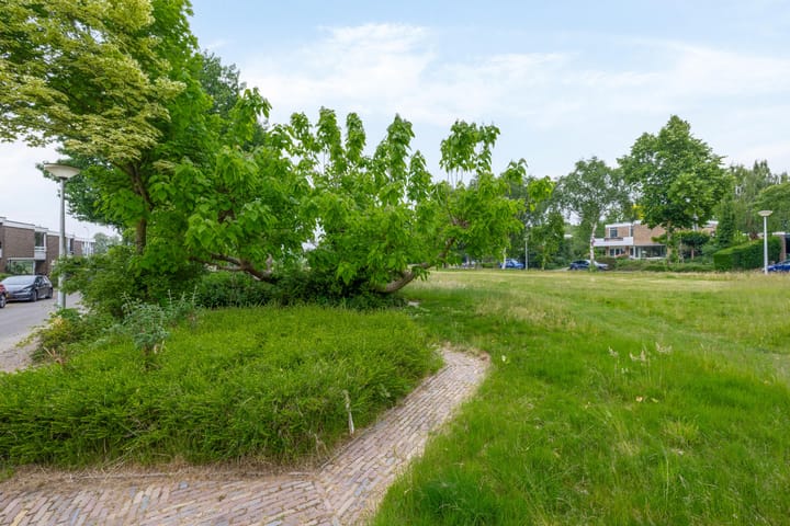 Foto 42 van Boeslaan 55