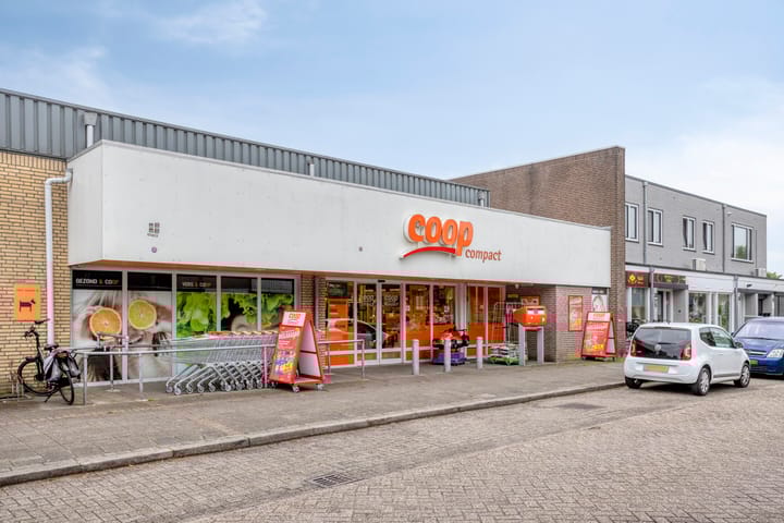 Foto 41 van Theodorus Repkesstraat 35