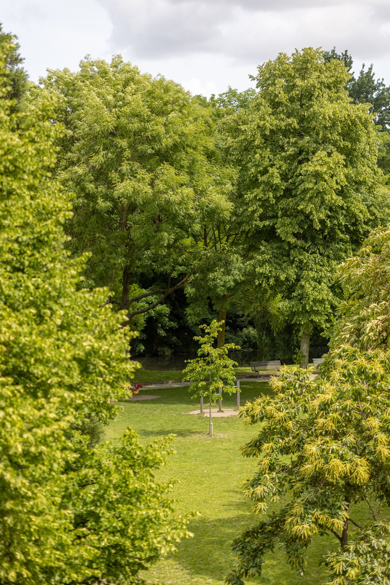 Foto 51 van G.W. Burgerplein 13