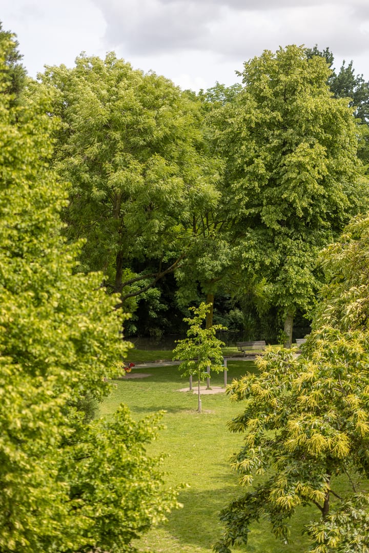 Foto 51 van G.W. Burgerplein 13