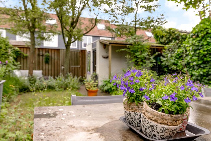 Foto 4 van Sleedoorn 8