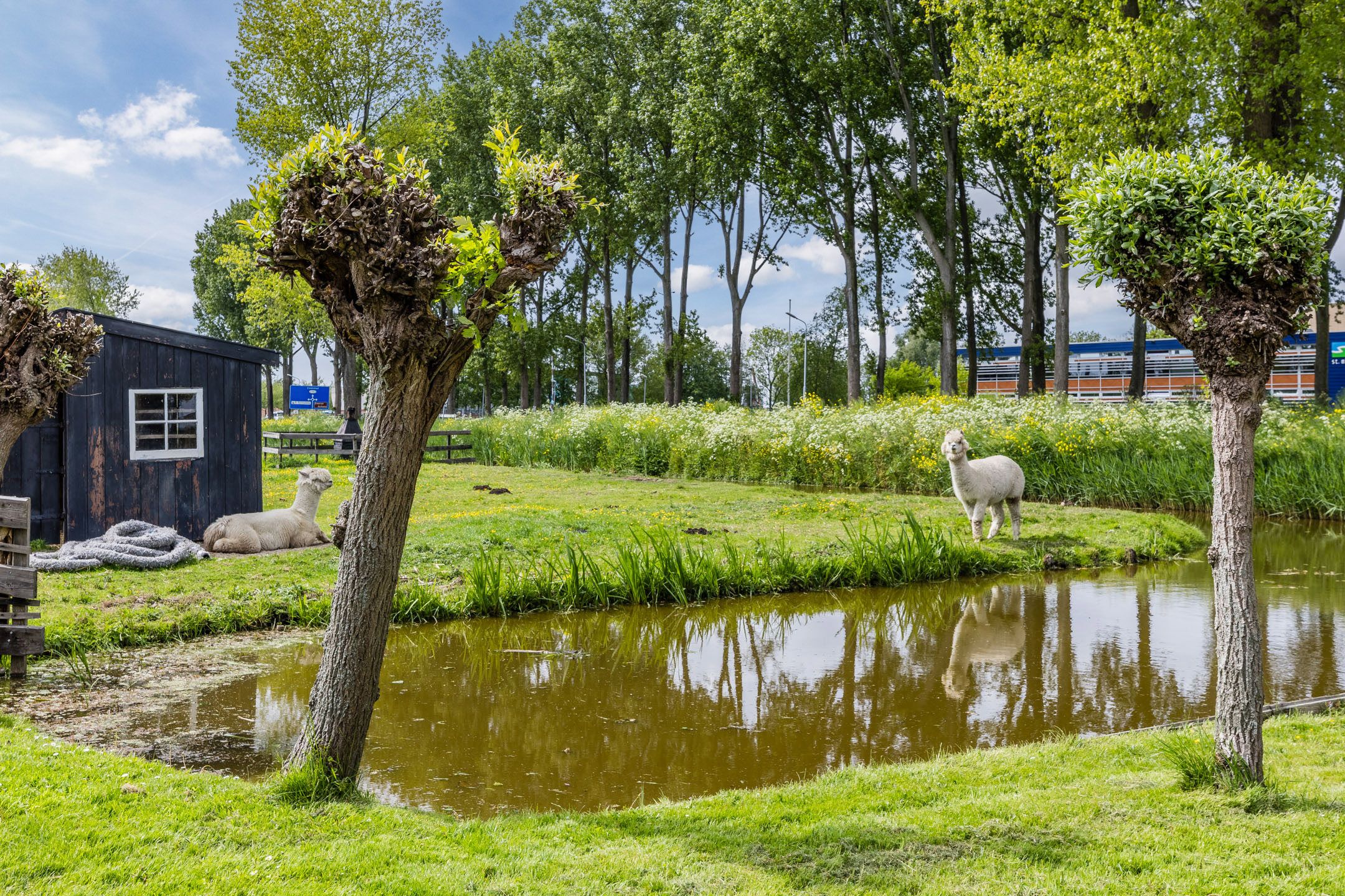 Photo 3 of Leeghwaterweg 20-A