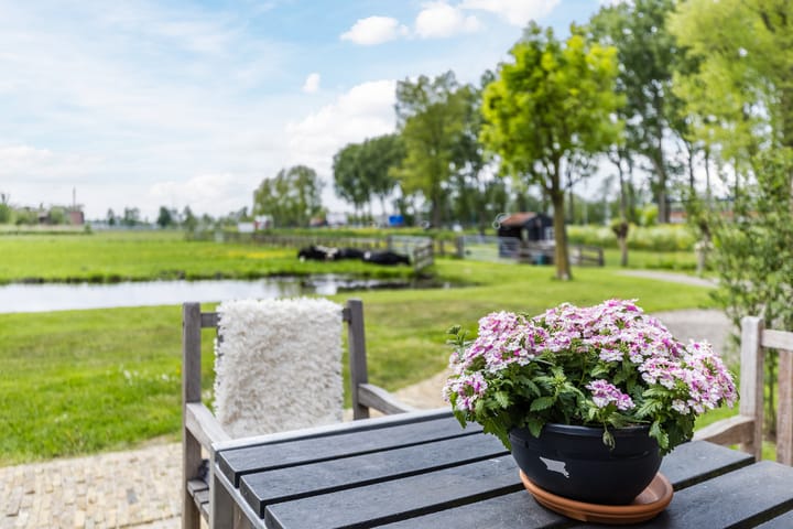 Foto 8 van Leeghwaterweg 20-A