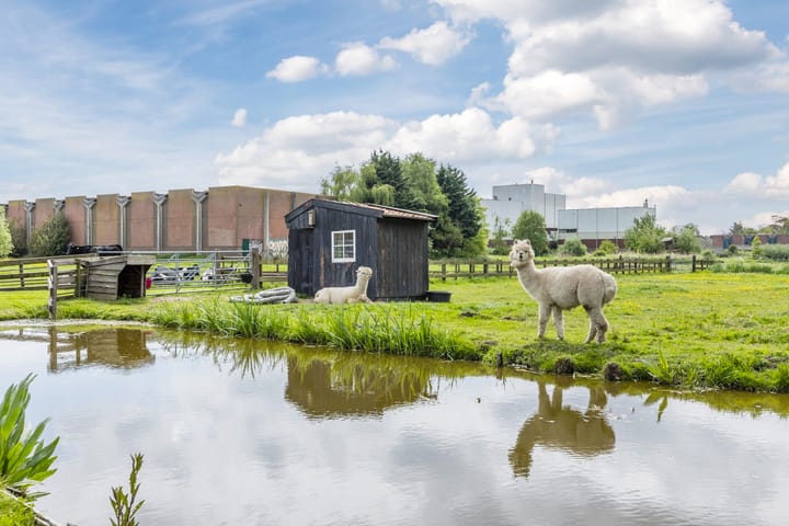 Foto 31 van Leeghwaterweg 20-A