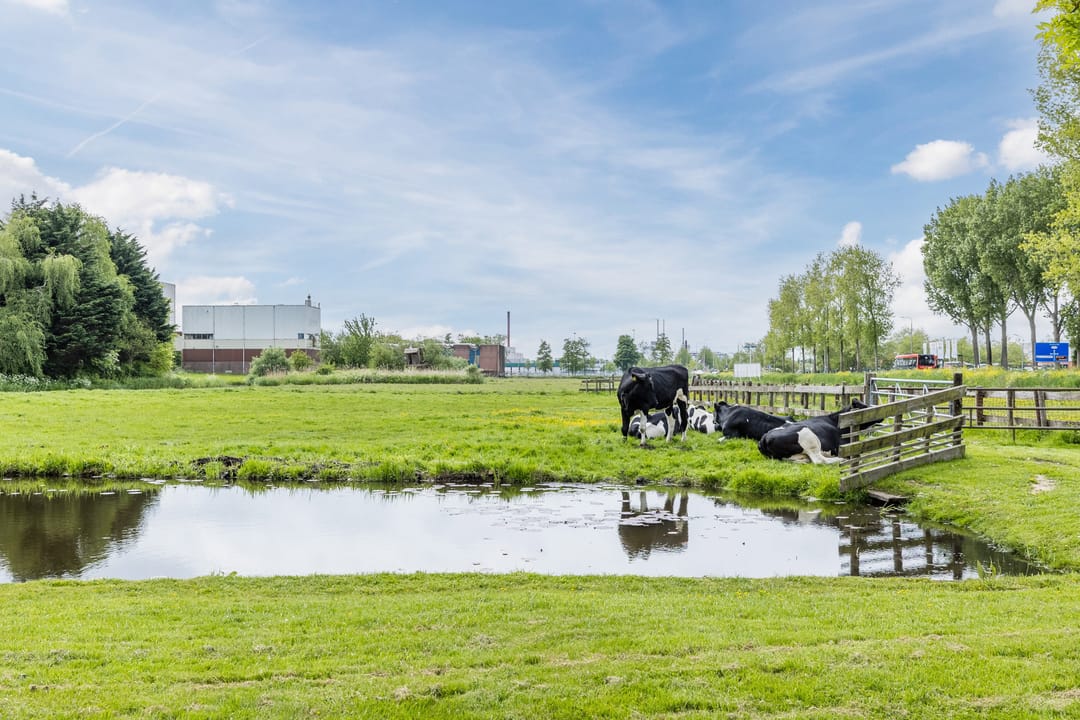 Photo 32 of Leeghwaterweg 20-A