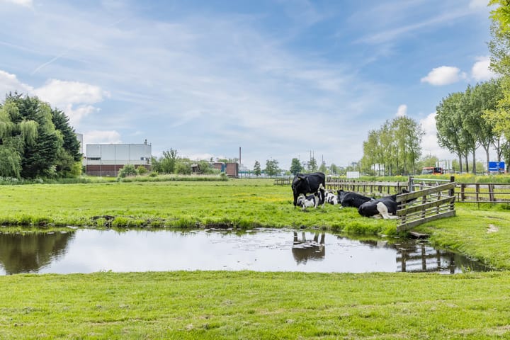 Foto 32 van Leeghwaterweg 20-A