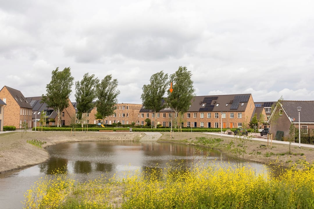 Photo 46 of Rietmeerplantsoen 31