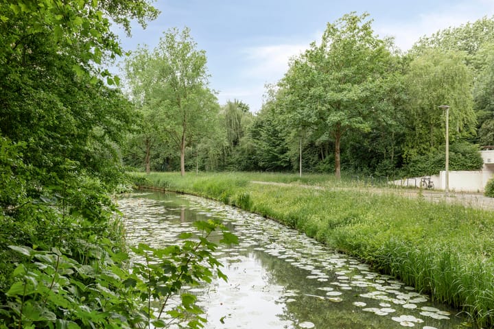 Foto 32 van Logger 154