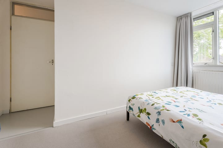 Foto 19 van Eikeboom 81