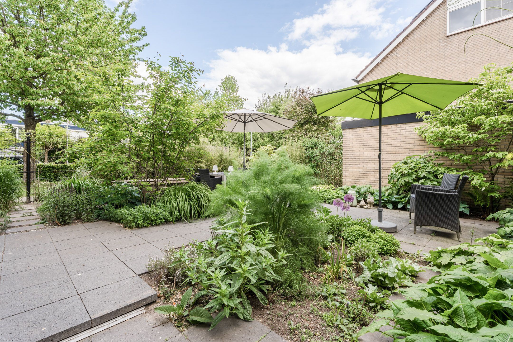 Foto 30 van Eikeboom 81