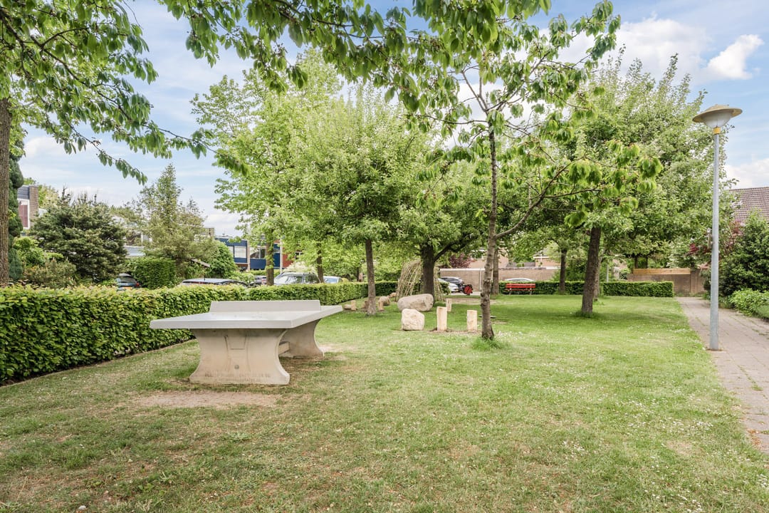 Foto 37 van Eikeboom 81