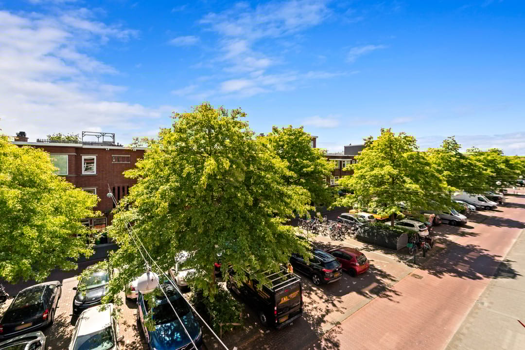 Foto 7 van Vlierboomstraat 443