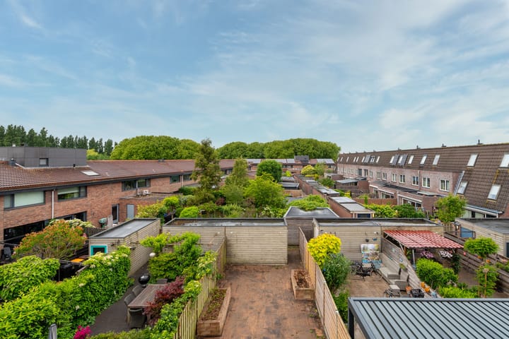 Foto 34 van Kaardebol 9