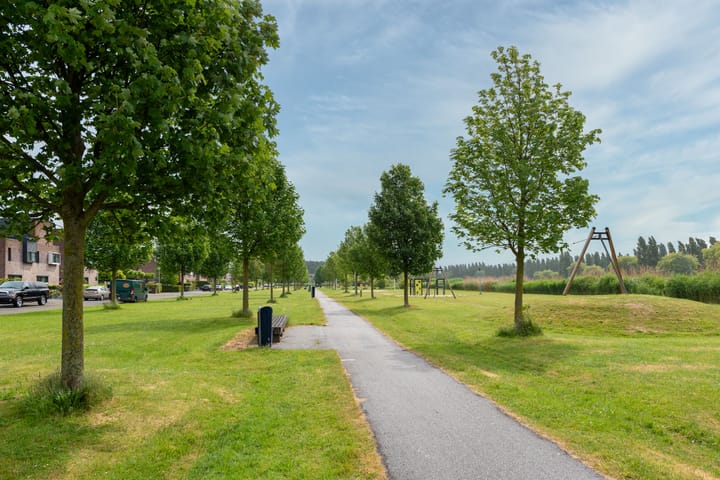 Foto 41 van Kaardebol 9