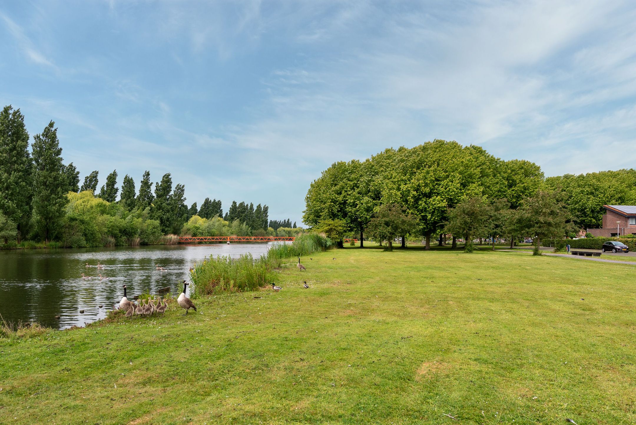 Photo 42 of Kaardebol 9