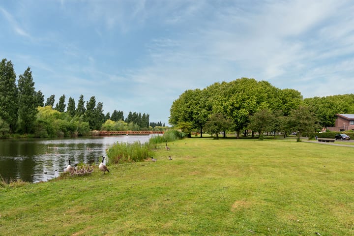 Foto 42 van Kaardebol 9