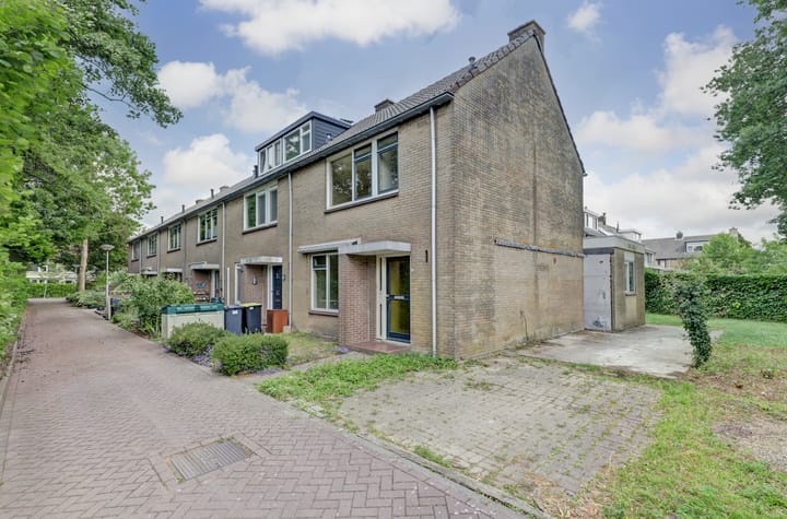 undefined main image