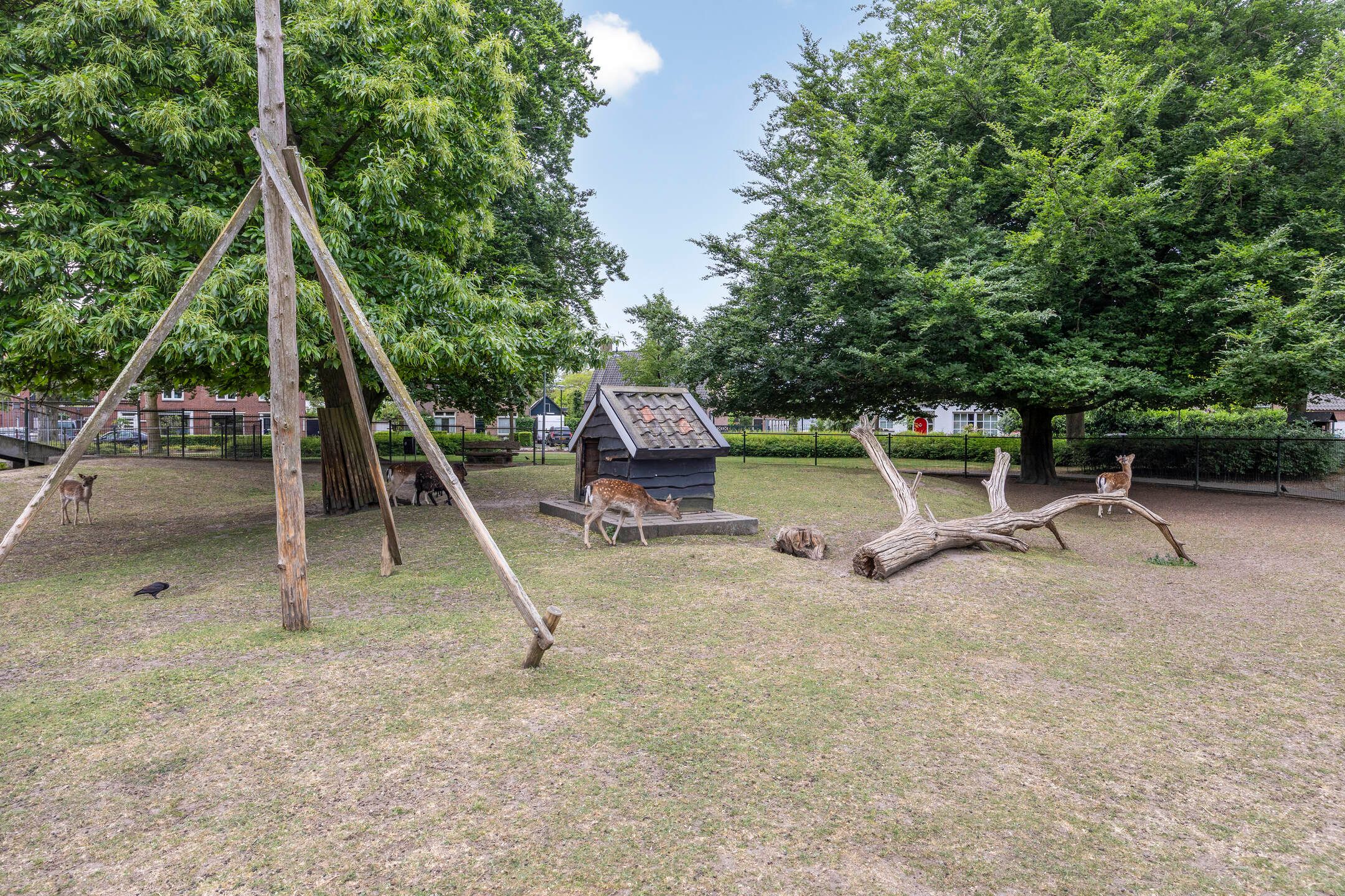 Foto 42 van Burgemeester Voskensstraat 2