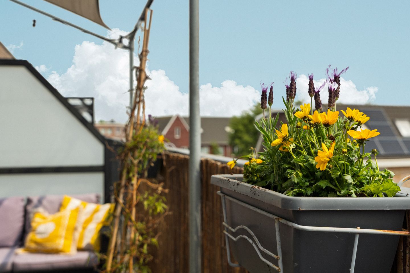 Photo 34 of Neptunussingel 36