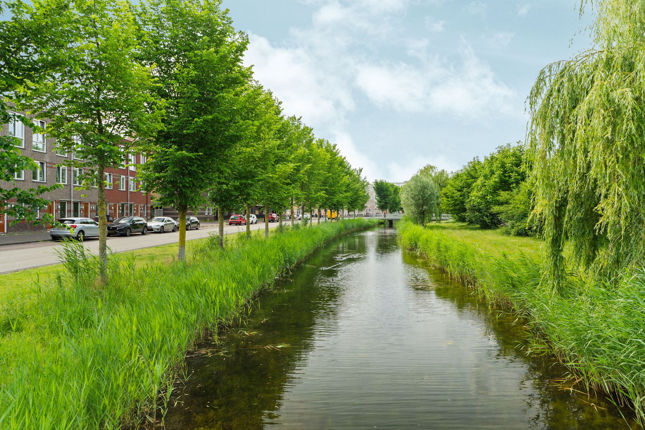 Photo 42 of Neptunussingel 36