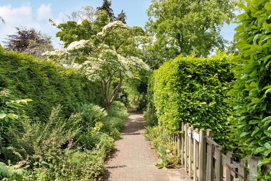 Foto 8 van Zonnelaan 4-D