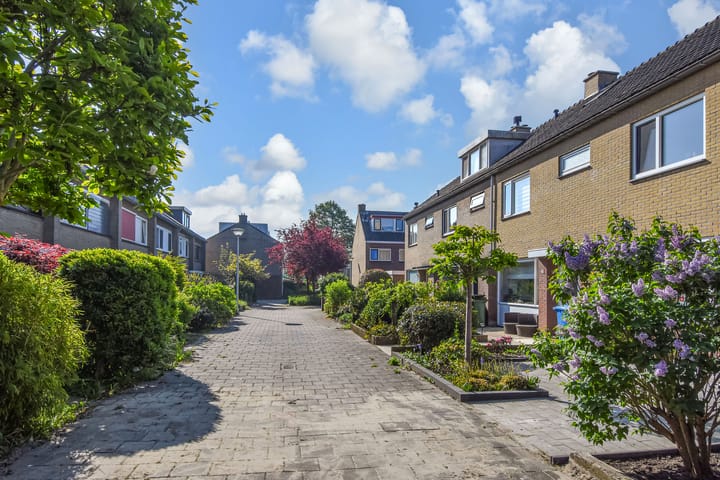 Foto 6 van Elzenhof 23