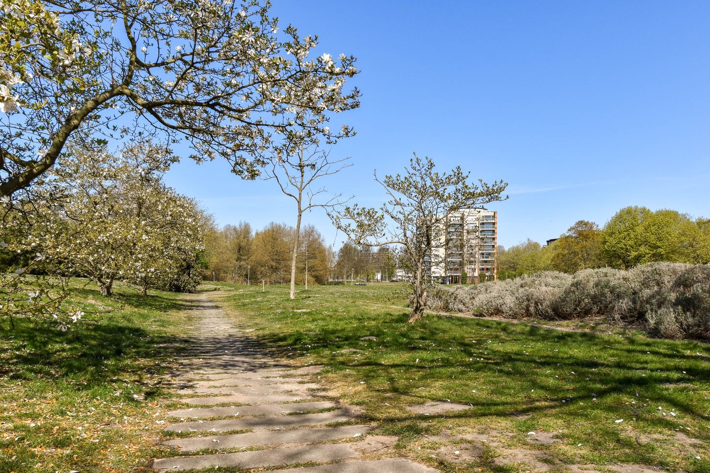 Foto 29 van Vorselaarstraat 38