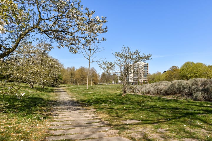 Foto 29 van Vorselaarstraat 38