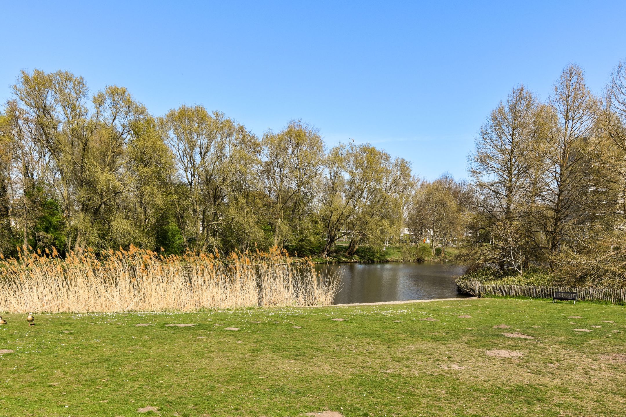 Foto 30 van Vorselaarstraat 38