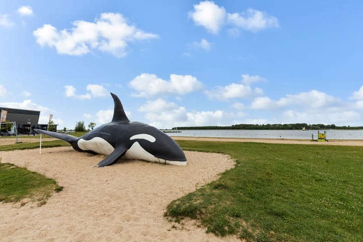 Foto 36 van Peter Dorleijnplein 4