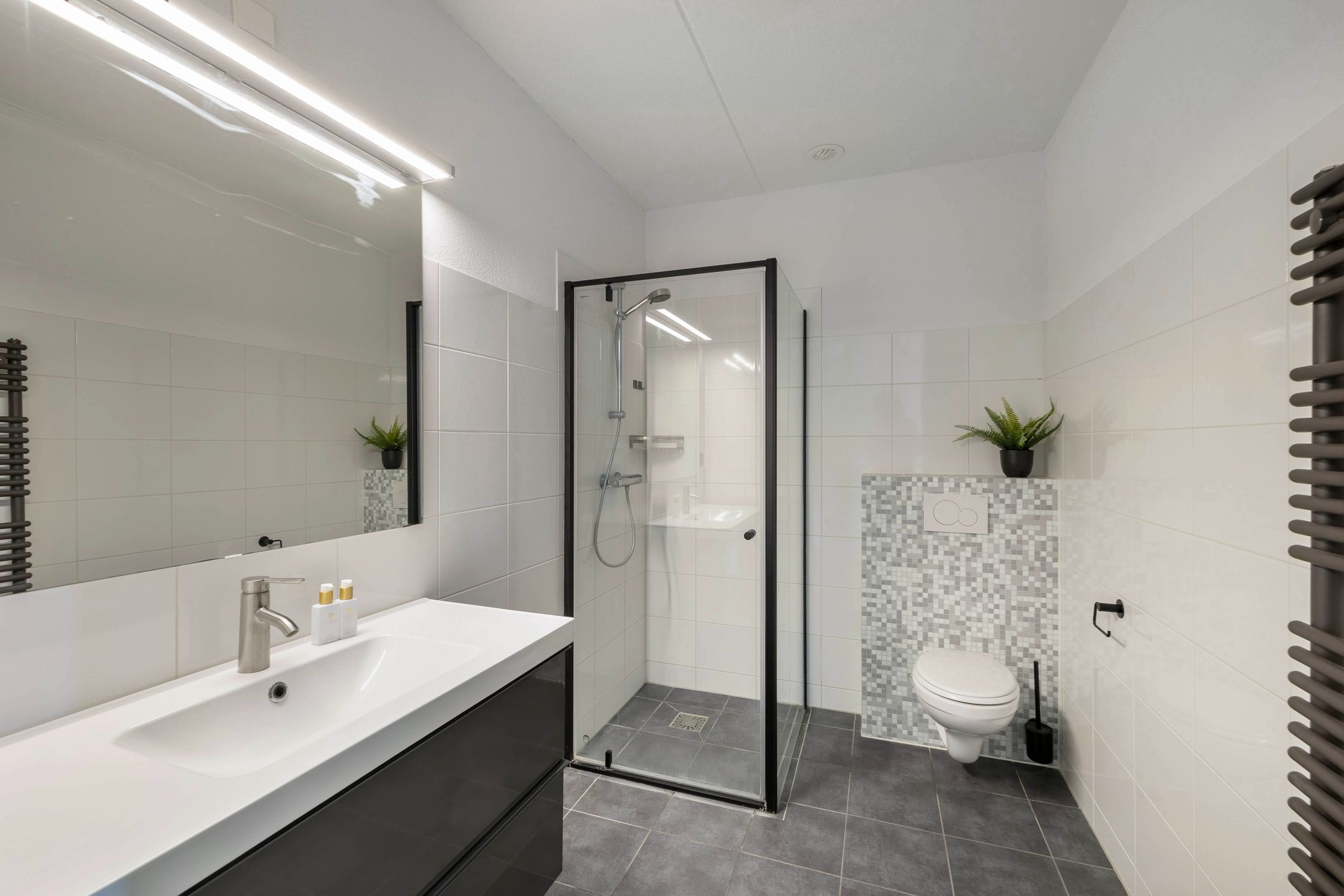 Foto 21 van Livingstonehage 23