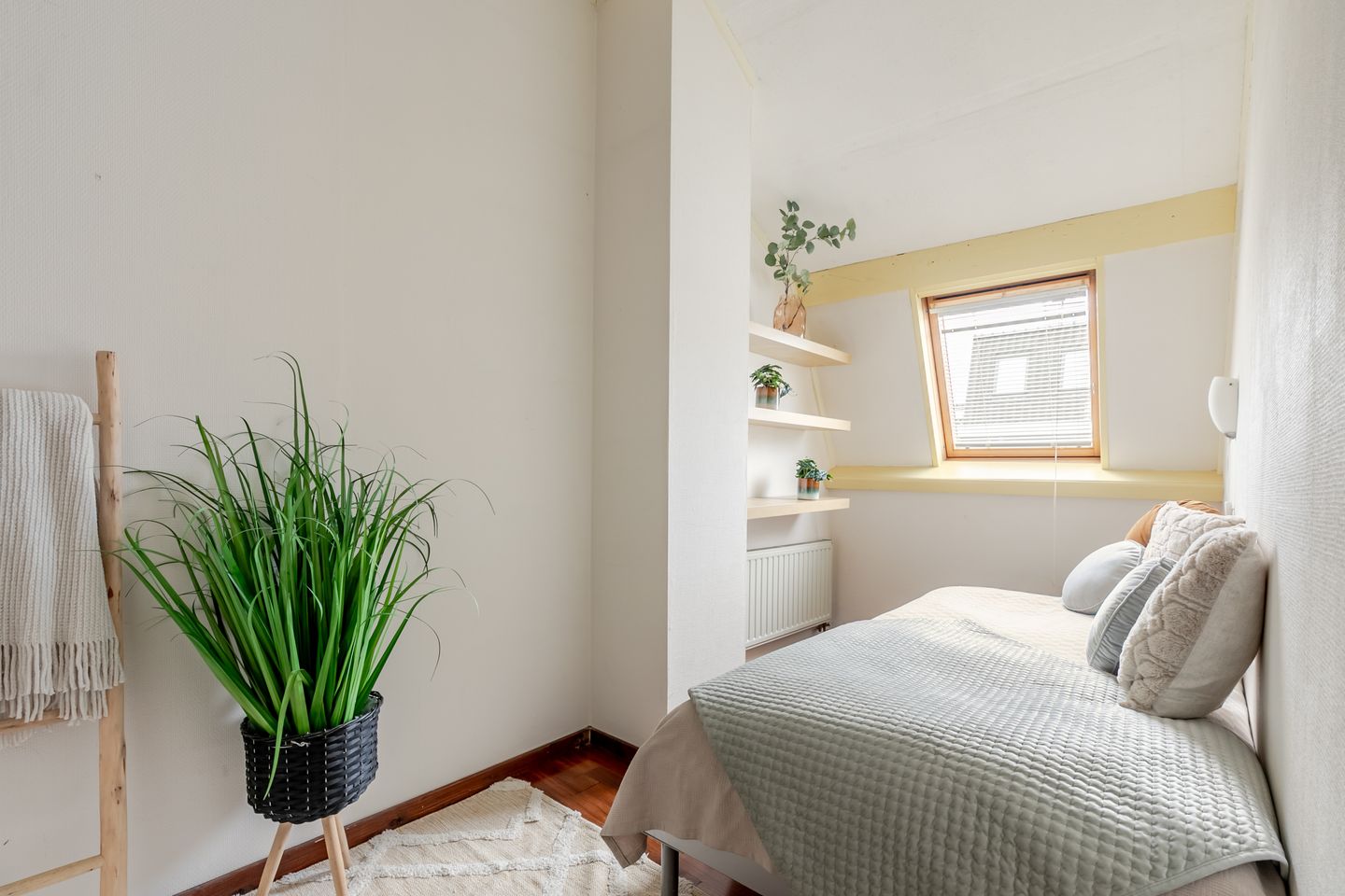 Photo 19 of Scheepersstraat 41