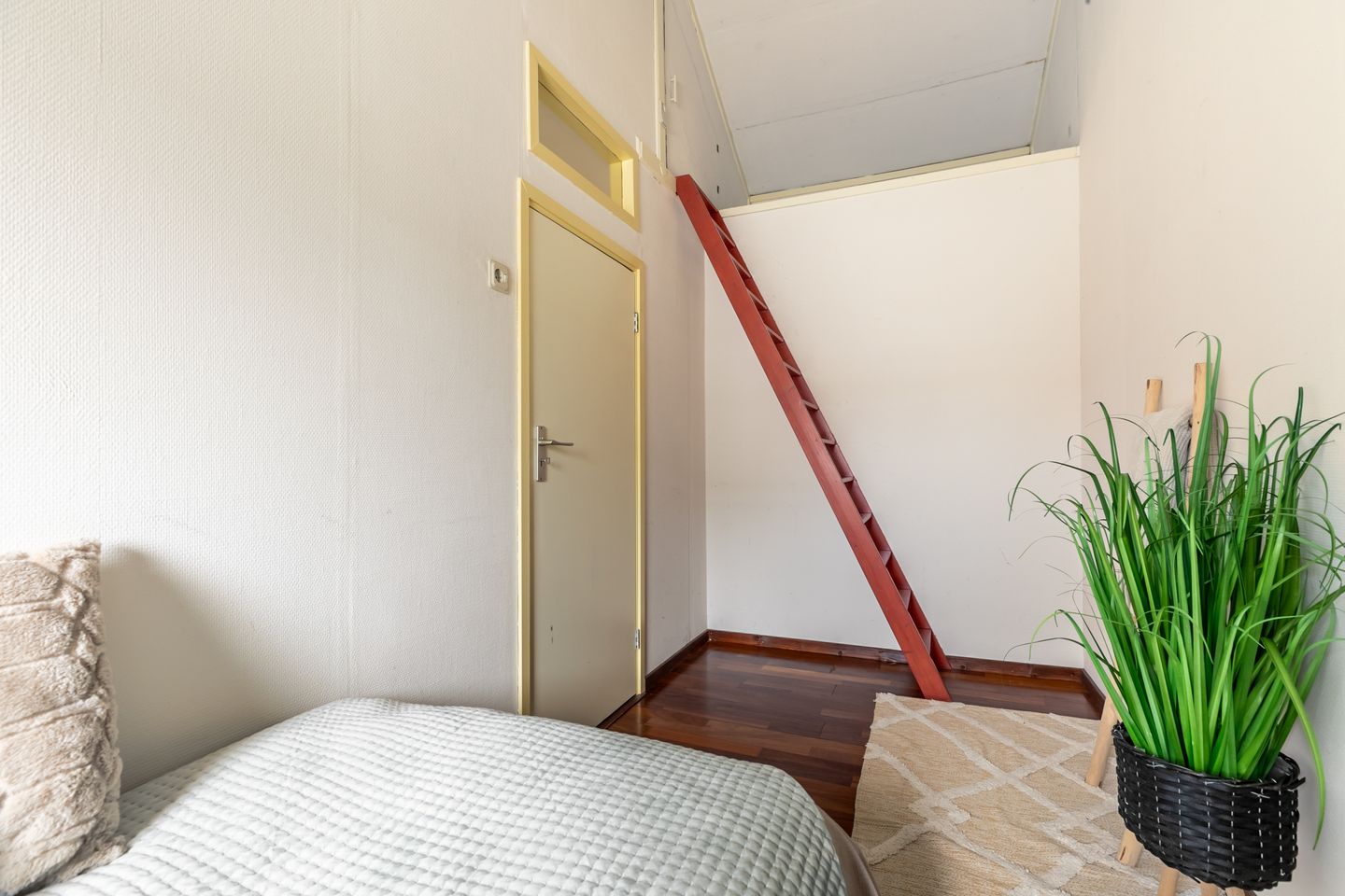 Photo 20 of Scheepersstraat 41