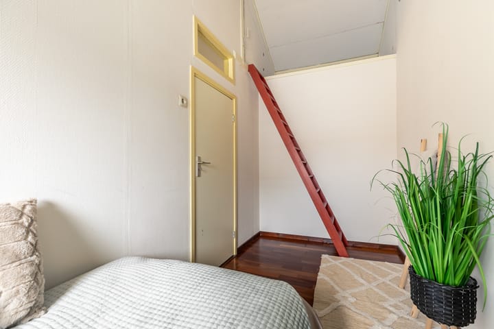 Foto 20 van Scheepersstraat 41