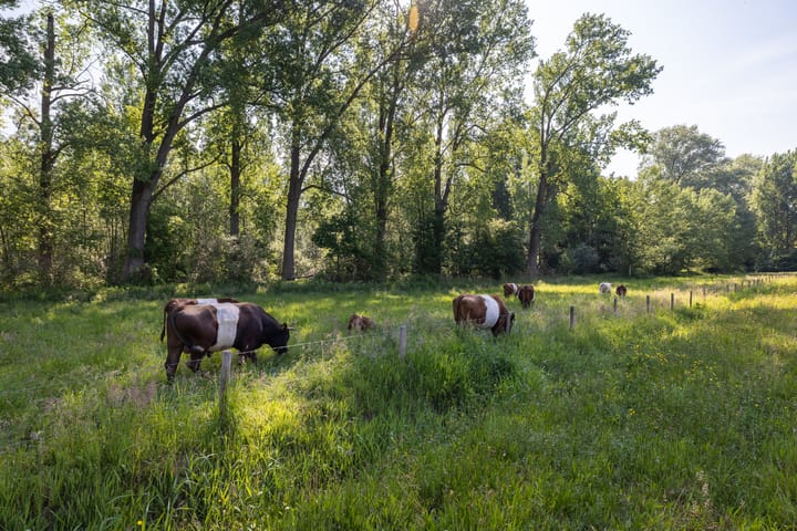 Foto 51 van Kosmoslaan 19