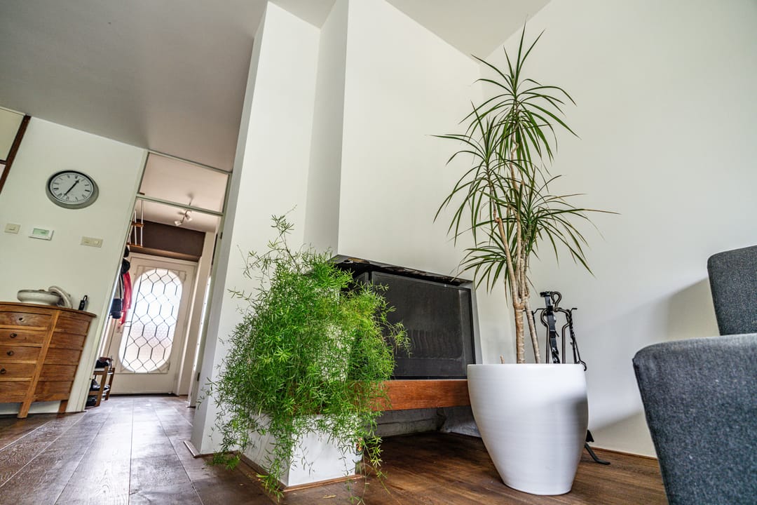 Foto 7 van Telemannstraat 9