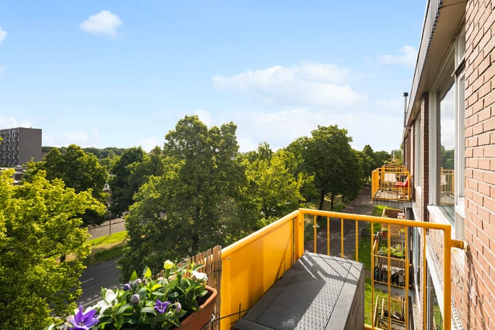 Foto 17 van Moezeldreef 175