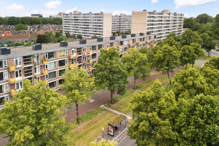 Foto 25 van Moezeldreef 175