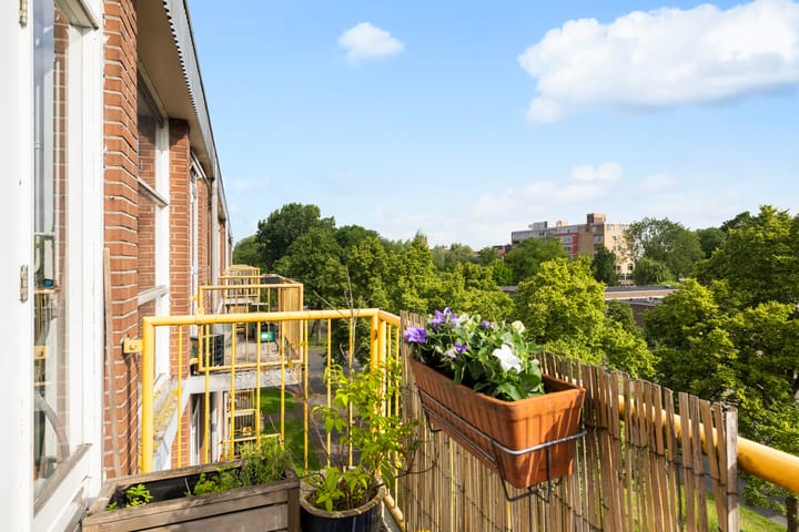 Foto 16 van Moezeldreef 175