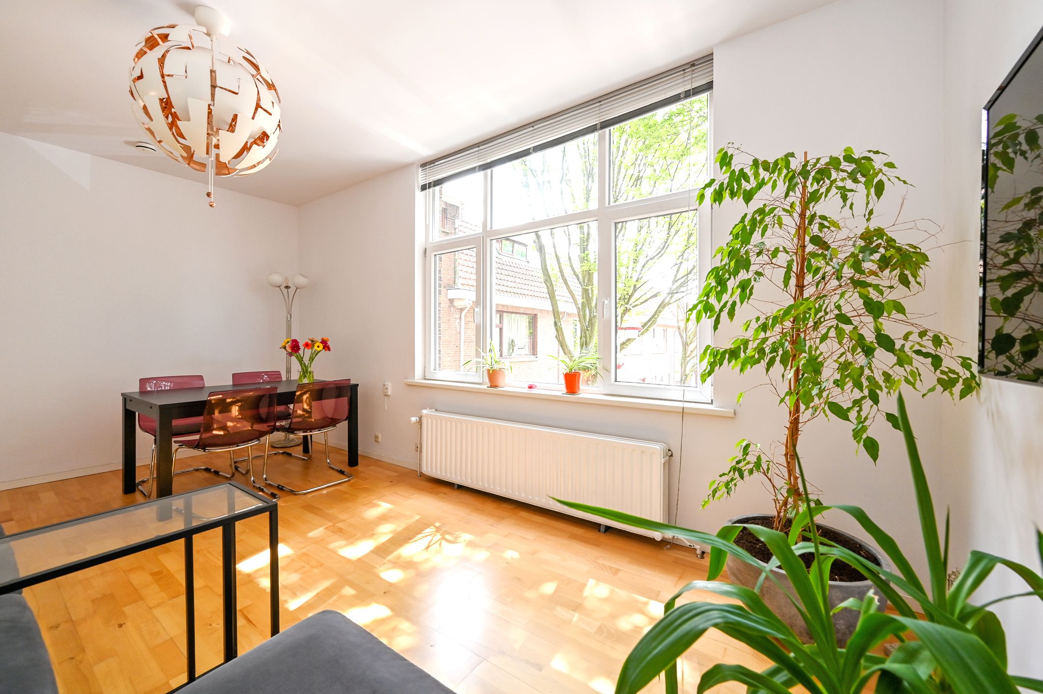 Photo 9 of Schlegelstraat 98