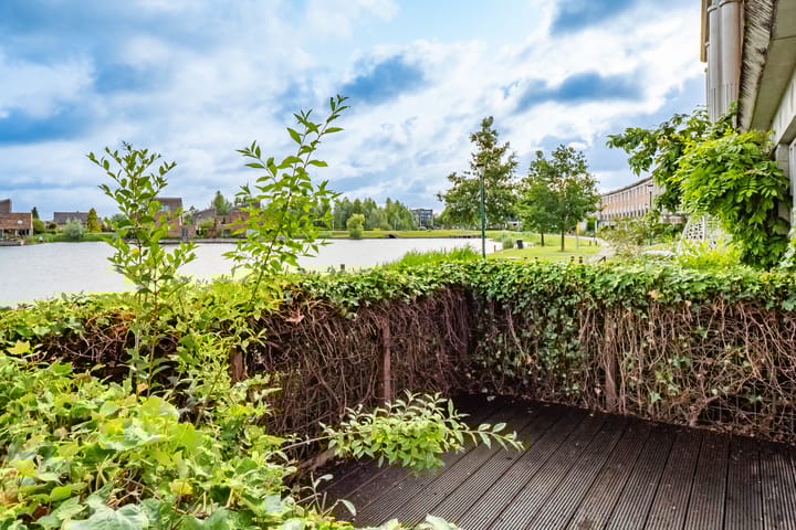 Foto 43 van Rimpelmos 4