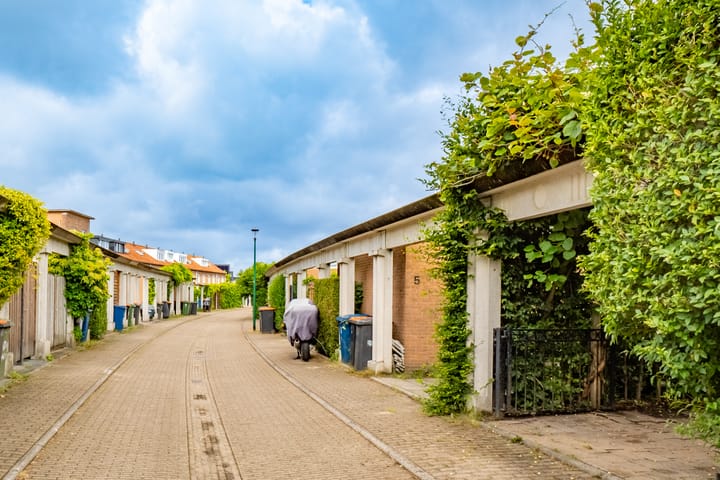 Foto 45 van Rimpelmos 4