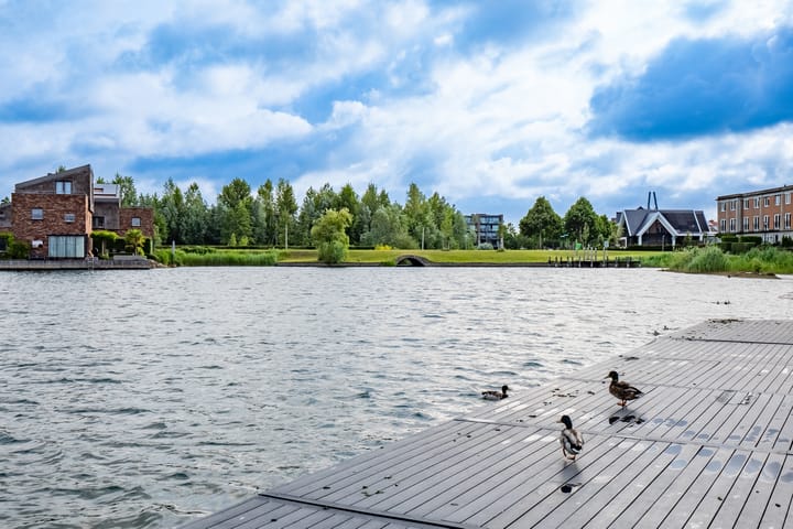 Foto 47 van Rimpelmos 4