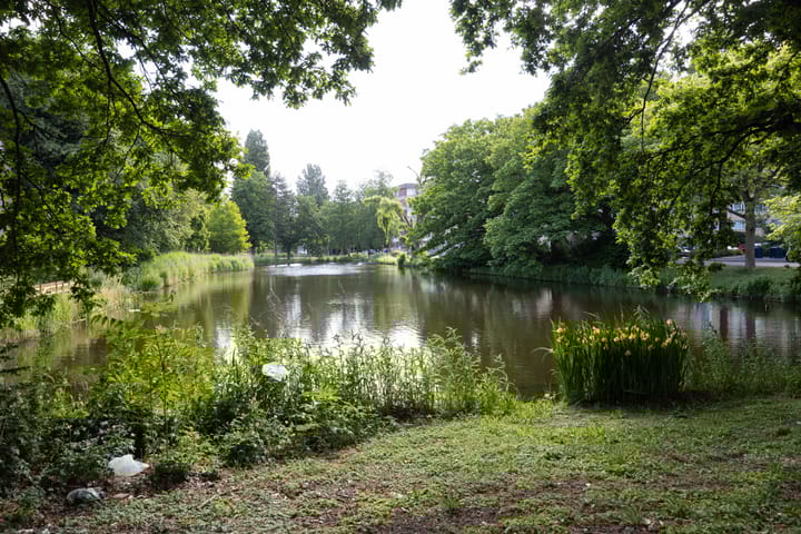 Foto 22 van Brahmslaan 115