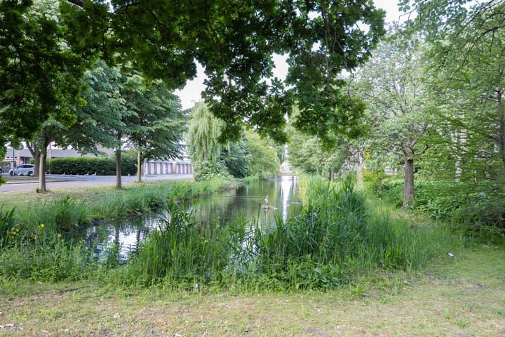 Foto 23 van Brahmslaan 115