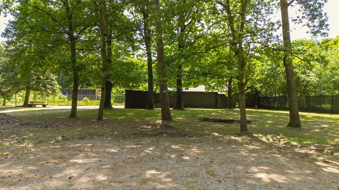 Foto 2 van Oude Rielsebaan 41-A