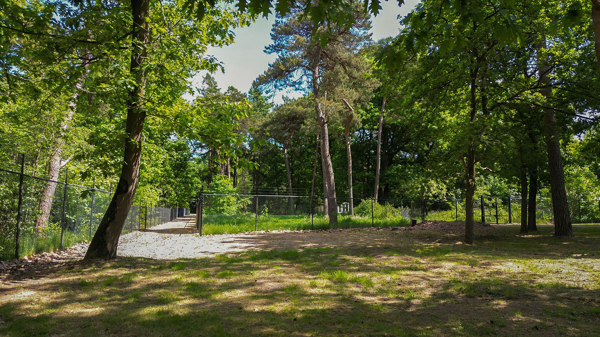 Foto 3 van Oude Rielsebaan 41-A