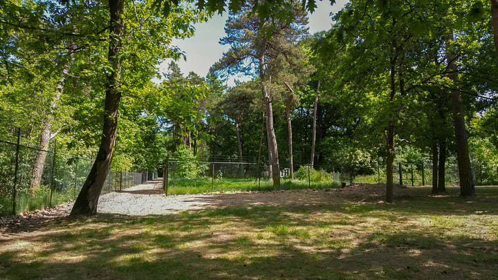 Foto 3 van Oude Rielsebaan 41-A