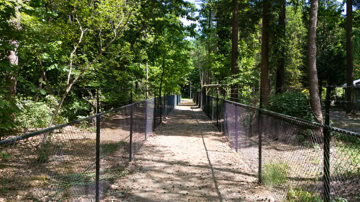 Foto 4 van Oude Rielsebaan 41-A